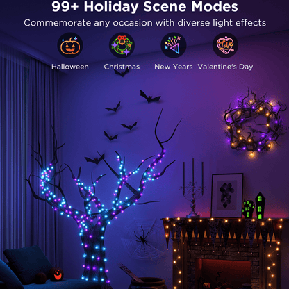 Smart Christmas Lights (10 meters)